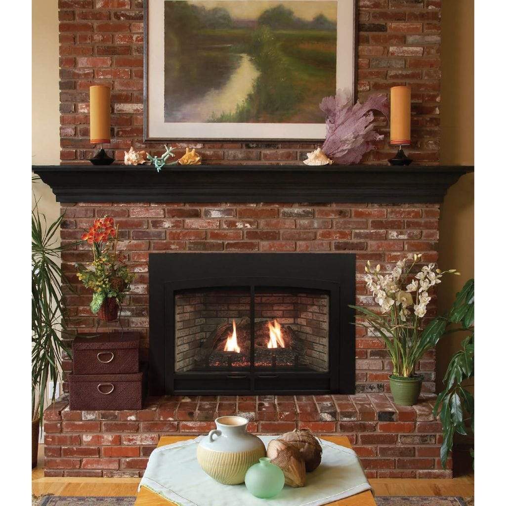 Empire White Mountain Hearth Innsbrook Clean Face 46-inch Millivolt Fireplace Insert DVC28IN31