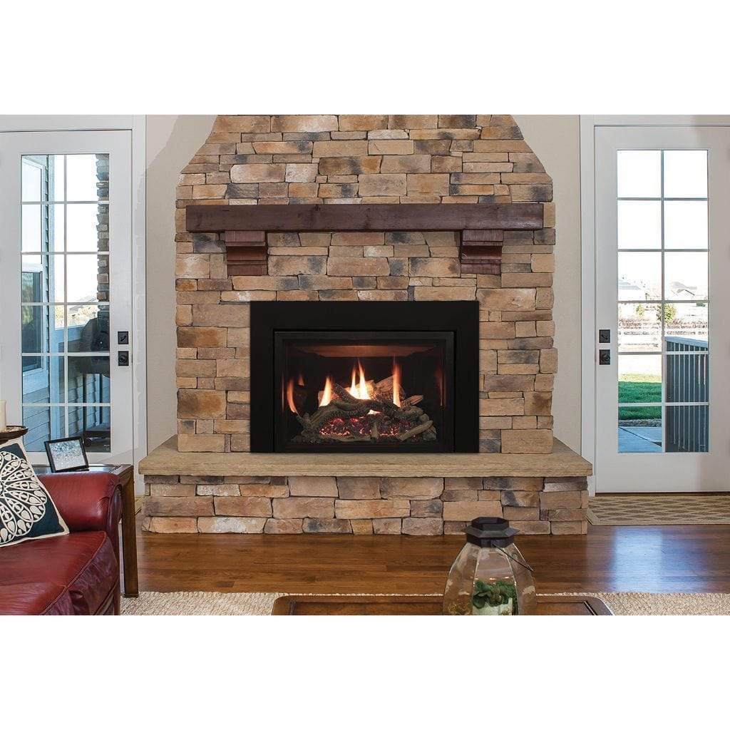 Empire White Mountain Hearth 30" Rushmore Clean Face Fireplace Insert DVCT30CBN95