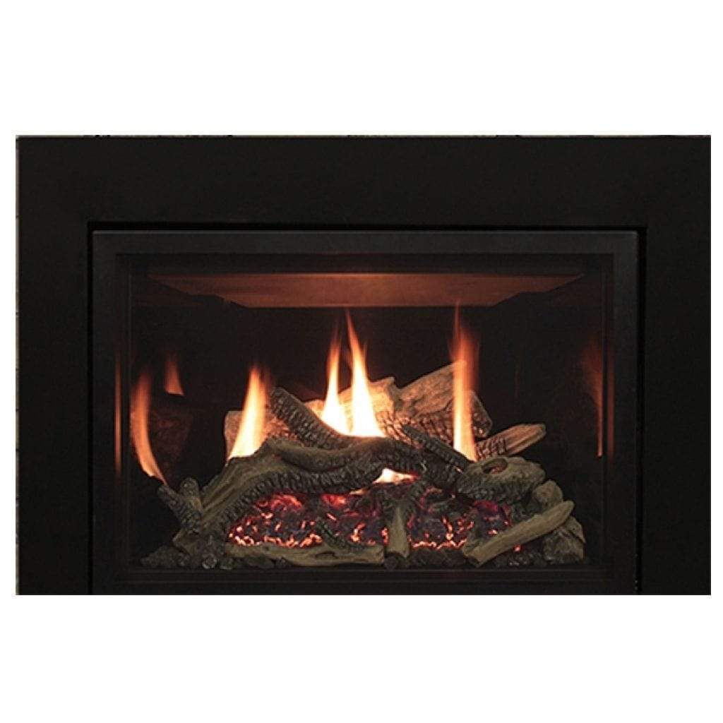 Empire White Mountain Hearth 30" Rushmore Clean Face Fireplace Insert DVCT30CBN95