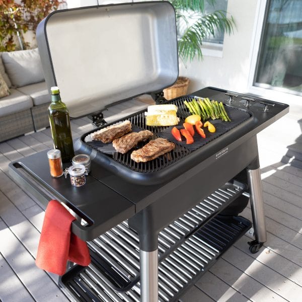 Everdure FORCE™ 2 BBQ Burner Gas Grill - E2G3