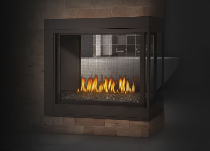 Napoleon Ascent Multi-View Direct Vent Gas Fireplace