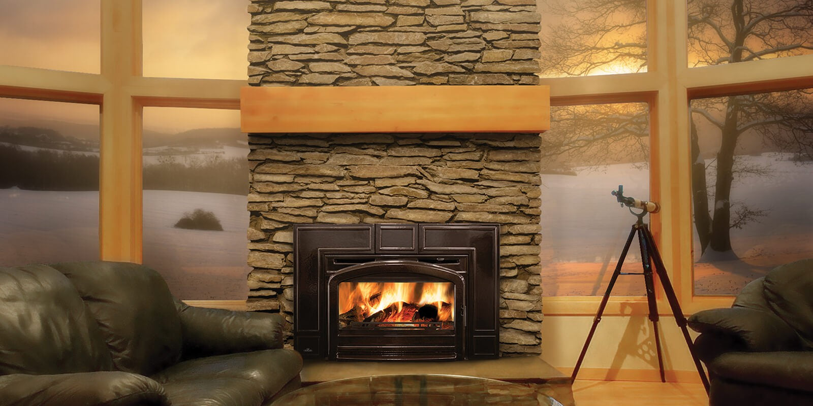 Napoleon Oakdale Wood Burning Fireplace Insert