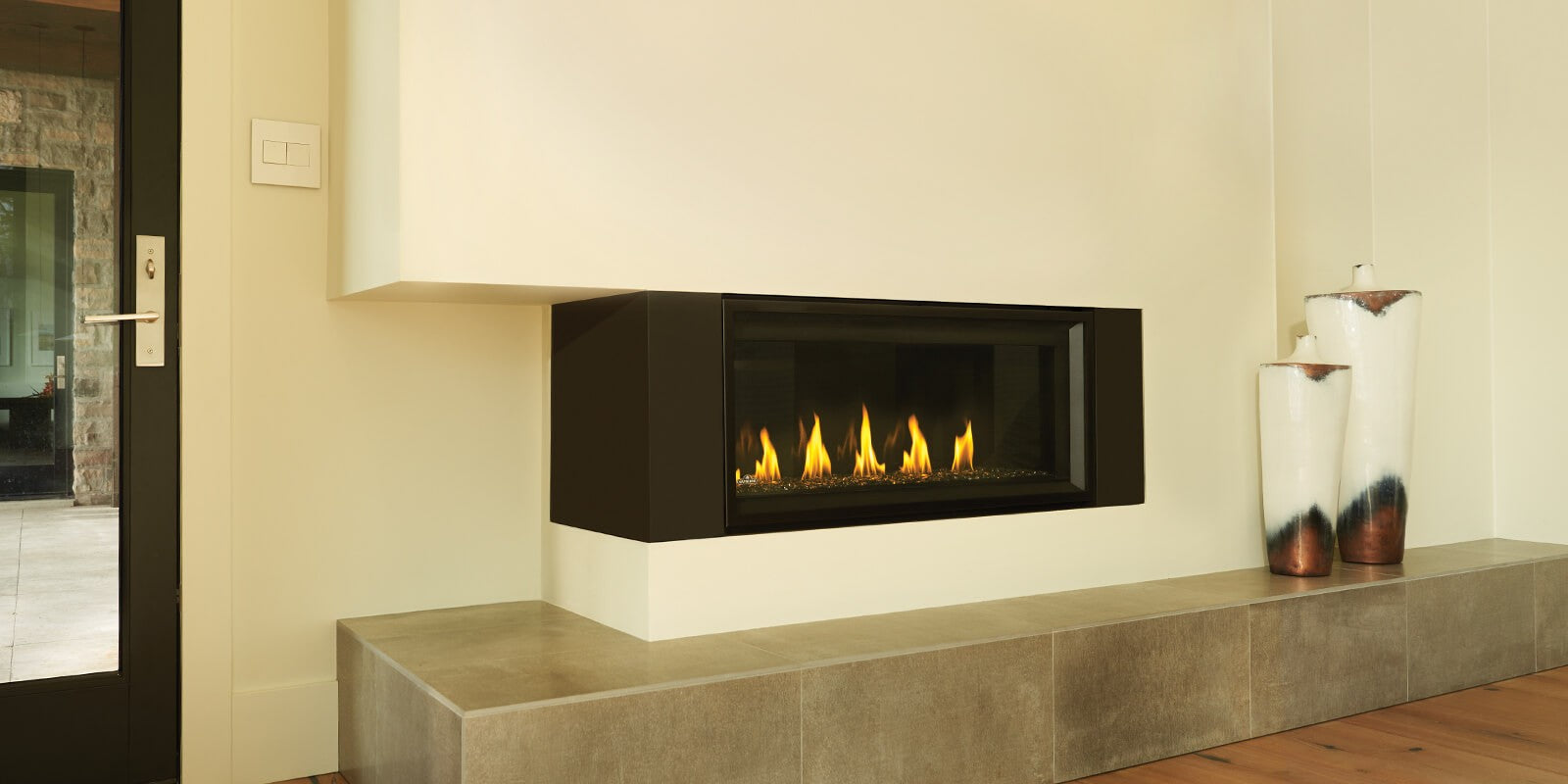 Napoleon Vector Direct Vent Gas Fireplace